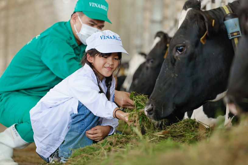 C&aacute;c em thiếu nhi tại Trung t&acirc;m bảo trợ Quảng Ng&atilde;i đến thăm trang trại Vinamilk Green Farm Quảng Ng&atilde;i, một hoạt động trong chương tr&igrave;nh Quỹ sữa 2022