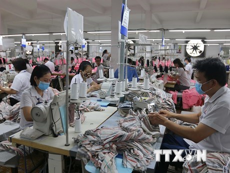 Doanh nghiệp tại TP Hồ Ch&#237; Minh cần định hướng tiếp cận thị trường