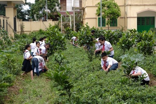 Học sinh chăm s&oacute;c vườn c&acirc;y được &ldquo;Quỹ 1 triệu c&acirc;y xanh cho Việt Nam&rdquo; trao tặng