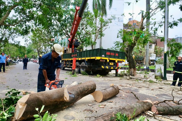 Nh&acirc;n vi&ecirc;n&nbsp;C&ocirc;ng ty C&ocirc;ng vi&ecirc;n c&acirc;y xanh TPHCM&nbsp;hỗ trợ cắt tỉa c&acirc;y ng&atilde; đổ tại TP. Hải Ph&ograve;ng.