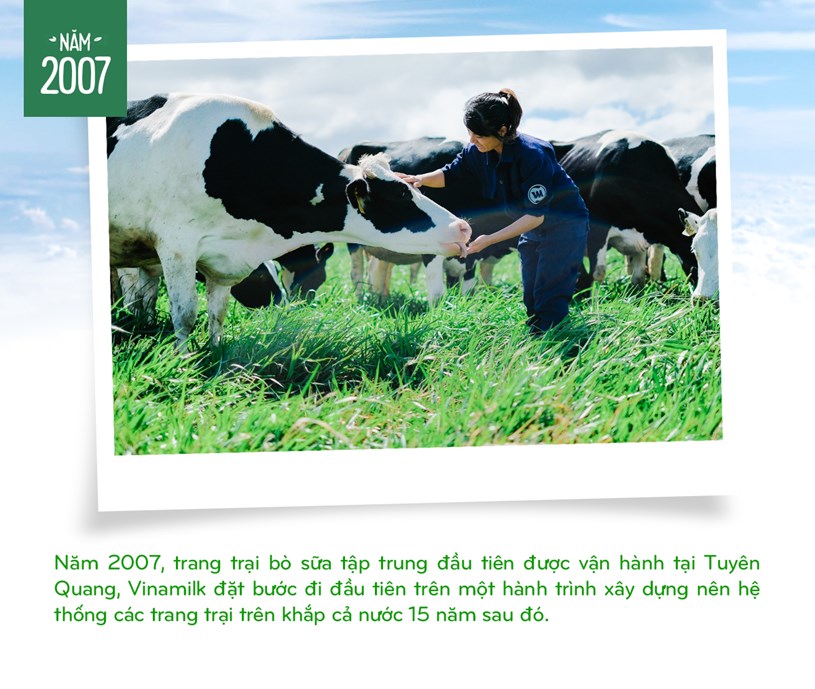 Đến năm 2007, trang trại b&ograve; sữa tập trung đầu ti&ecirc;n của Vinamilk được ra đời tại Tuy&ecirc;n Quang đ&aacute;nh dấu một bước ngoặt quan trọng kh&ocirc;ng chỉ với Vinamilk m&agrave; c&ograve;n với ng&agrave;nh chăn nu&ocirc;i b&ograve; sữa tại Việt Nam n&oacute;i chung.