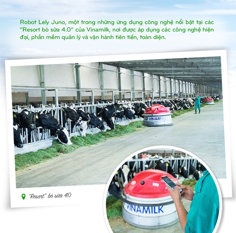 Vinamilk: 15 năm x&#226;y hệ thống trang trại b&#242; sữa đạt chuẩn quốc tế - Ảnh 2