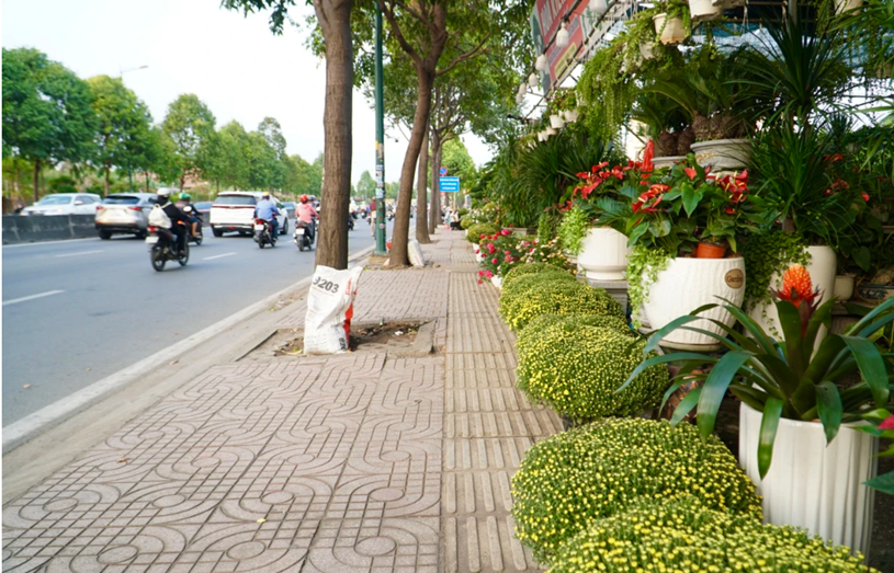 Sắc xu&acirc;n dọc tr&ecirc;n tuyến đường Phạm Văn Đồng.
