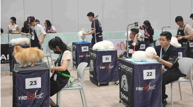 Các thú cưng đang được chăm sóc tại InterPetFest 2025