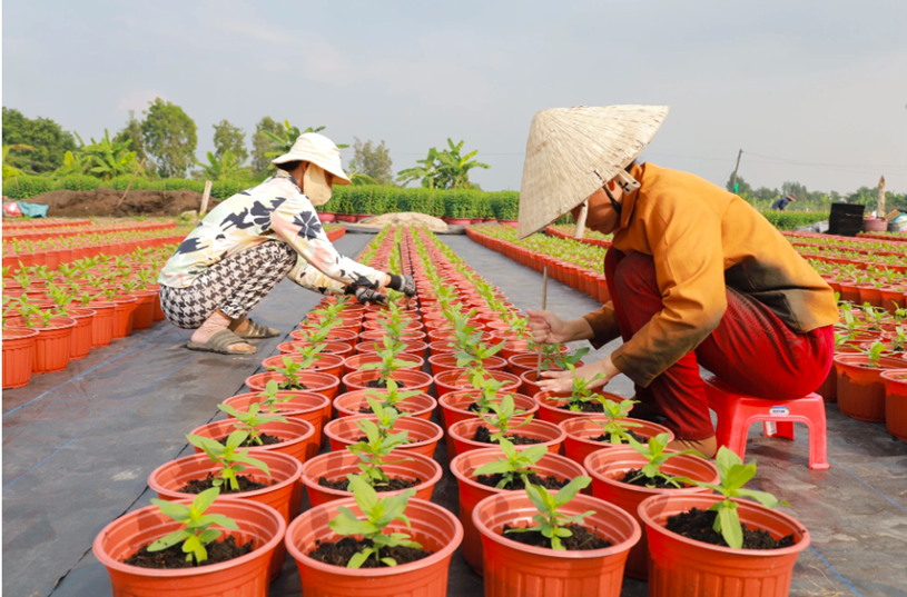 C&aacute;c nh&acirc;n c&ocirc;ng đang xới đất, tỉa l&aacute;, b&oacute;n ph&acirc;n đảm bảo hoa nở đ&uacute;ng dịp Tết.