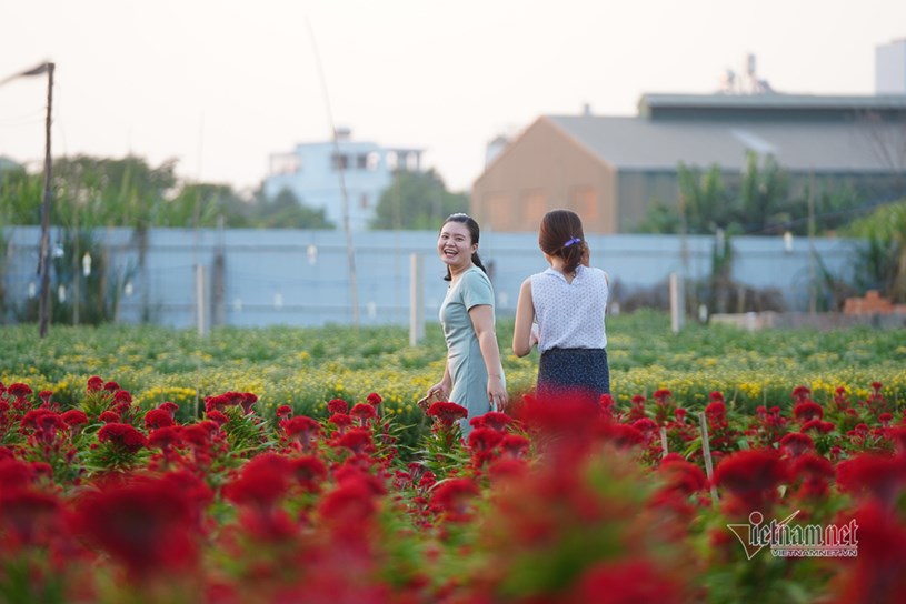 Nơi đ&acirc;y cũng thu h&uacute;t nhiều người đến tham quan, thưởng l&atilde;m.