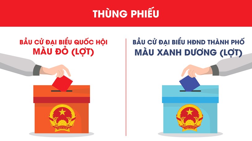 Quận 12: Một số th&#244;ng tin bầu cử Đại biểu Quốc hội kh&#243;a XV v&#224; Đại biểu HĐND TPHCM kh&#243;a X - Ảnh 7