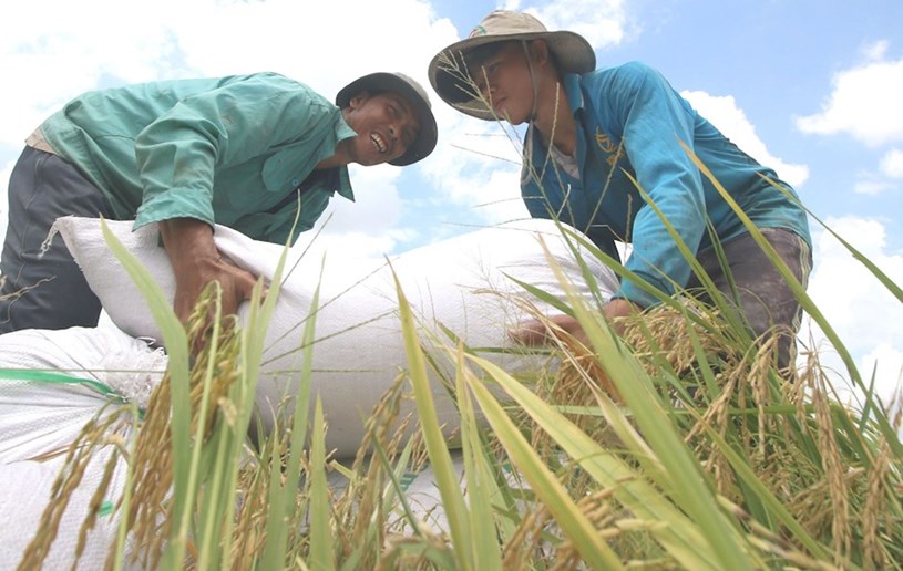 Th&#244;ng tin Cuộc thi t&#225;c phẩm b&#225;o ch&#237; viết về c&#244;ng t&#225;c giảm ngh&#232;o năm 2020