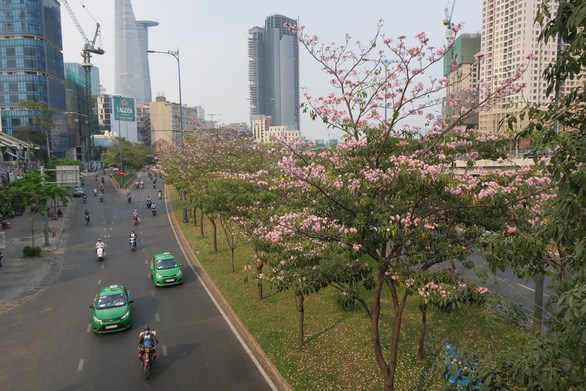 C&acirc;y xanh v&agrave; hoa tr&ecirc;n đường V&otilde; Văn Kiệt, quận 1, TP.HCM - Ảnh: T.T.D/ TTO